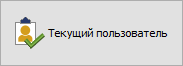 Кнопка "Текущий пользователь"